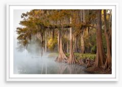 Cypress river mist Framed Art Print 163558491