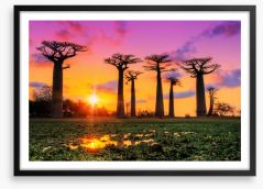 Goodnight baobabs Framed Art Print 163621386