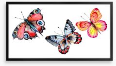 Butterfly trio I Framed Art Print 164500312