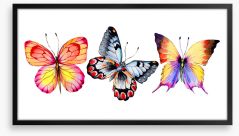 Butterfly trio II Framed Art Print 164500326
