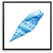 Blue cerith shell Framed Art Print 164509047