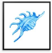 Blue spider conch Framed Art Print 164509160
