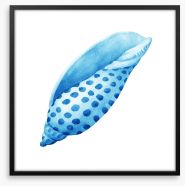 Blue junonia shell Framed Art Print 164509242