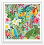 Paradise parrots Framed Art Print 165286851