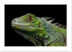 Reptiles Art Print 166096229