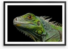 Reptiles Framed Art Print 166096229