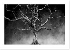 Trees Art Print 166409375