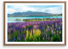 New Zealand Framed Art Print 167730552