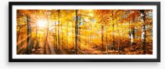 Autumn beams panorama Framed Art Print 168212681