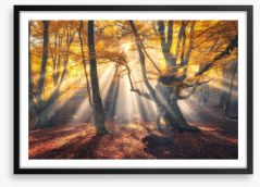Aethereal autumn sun Framed Art Print 168804375