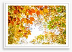 An autumn sky Framed Art Print 169391844