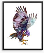 Hawk on the hunt Framed Art Print 169824511