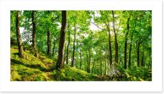 Forests Art Print 169871076
