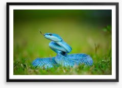 Reptiles Framed Art Print 170448215