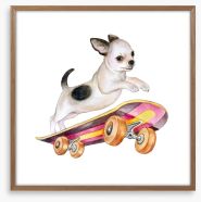 Skateboard chihuahua Framed Art Print 172724272