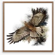 Flight of the falcon Framed Art Print 172726730