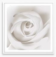 White rose whisper Framed Art Print 172963547