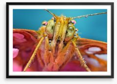 Insects Framed Art Print 173293693