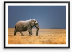 Elephant on the plain Framed Art Print 17375122