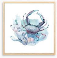 Crab in the coral Framed Art Print 175826091