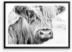 Highland cow monochrome Framed Art Print 175918445