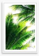 Palm leaf sunshine Framed Art Print 178066557