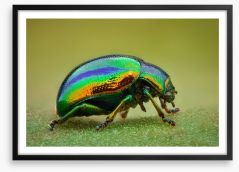 Insects Framed Art Print 178646626