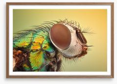Insects Framed Art Print 178787918