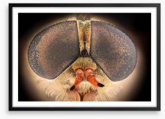 Insects Framed Art Print 178789086