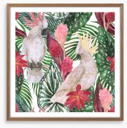 Cockatoo palms Framed Art Print 180606631