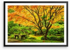 Golden maple bench Framed Art Print 181210246