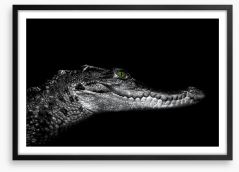 Reptiles / Amphibian Framed Art Print 183004842