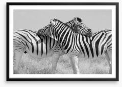 Zebra hugs Framed Art Print 184408659