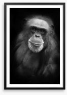 Cheery chimp Framed Art Print 18554661