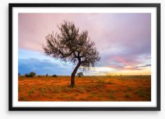 Pilbara twilight Framed Art Print 186208991