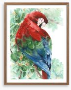 Tropical macaw Framed Art Print 188732620