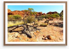 Outback Framed Art Print 191312012