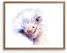 The amiable ostrich Framed Art Print 191742321