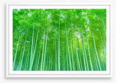 Luminous bamboo forest Framed Art Print 192445571