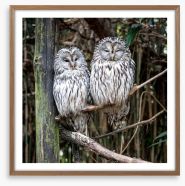 Together in the tree Framed Art Print 198147808