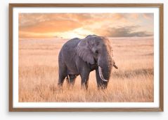 Africa Framed Art Print 200045924