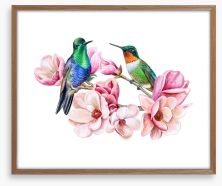 Humming in the magnolia Framed Art Print 202525490