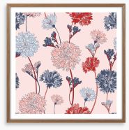 Chrysanthemum blush Framed Art Print 204745645