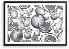 Once were fruits Framed Art Print 205354129