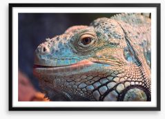 Reptiles / Amphibian Framed Art Print 206504114