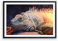 Happy iguana Framed Art Print 206504119