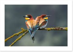 Birds Art Print 206919028