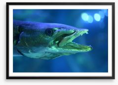 Fish / Aquatic Framed Art Print 207653452