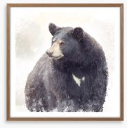 The black bear Framed Art Print 207847997