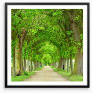 Green tree tunnel Framed Art Print 208145174